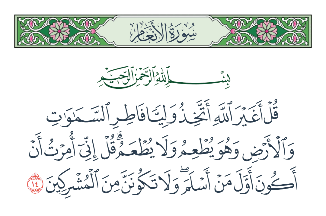  سورة الأنعام الآية رقم 14