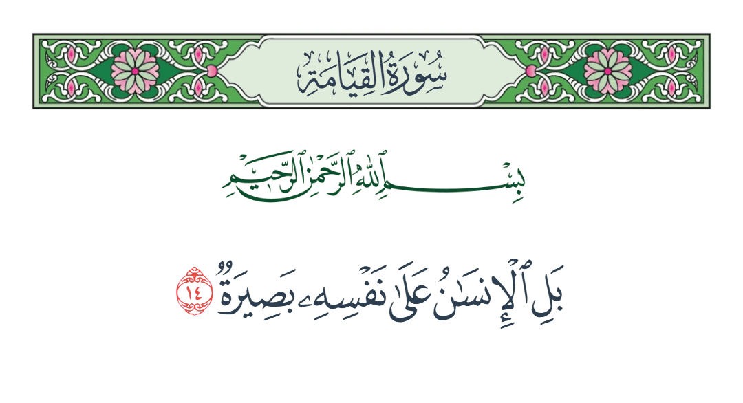  سورة القيامة الآية رقم 14