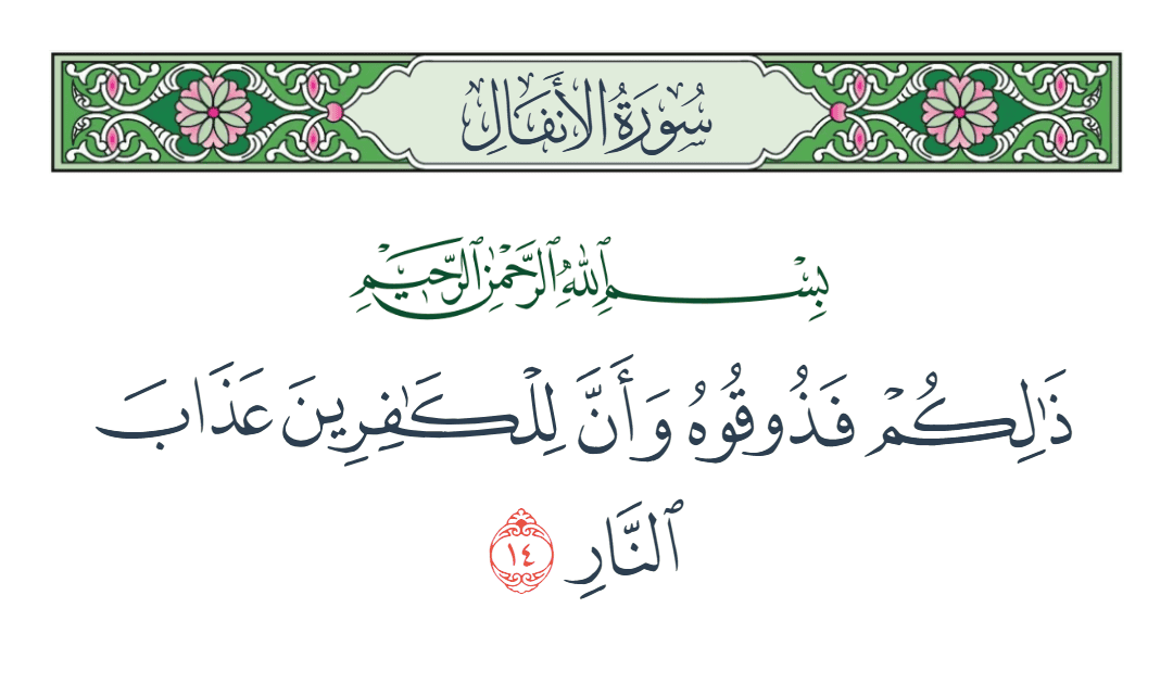  سورة الأنفال الآية رقم 14