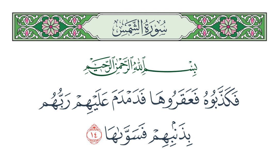  سورة الشمس الآية رقم 14