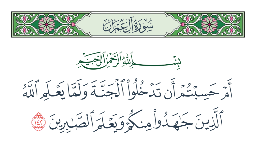  سورة آل عمران الآية رقم 142