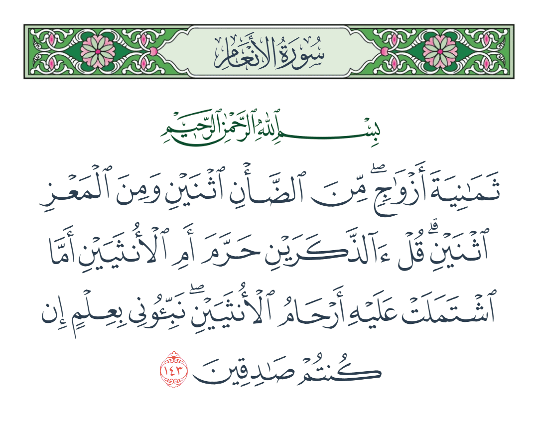  سورة الأنعام الآية رقم 143