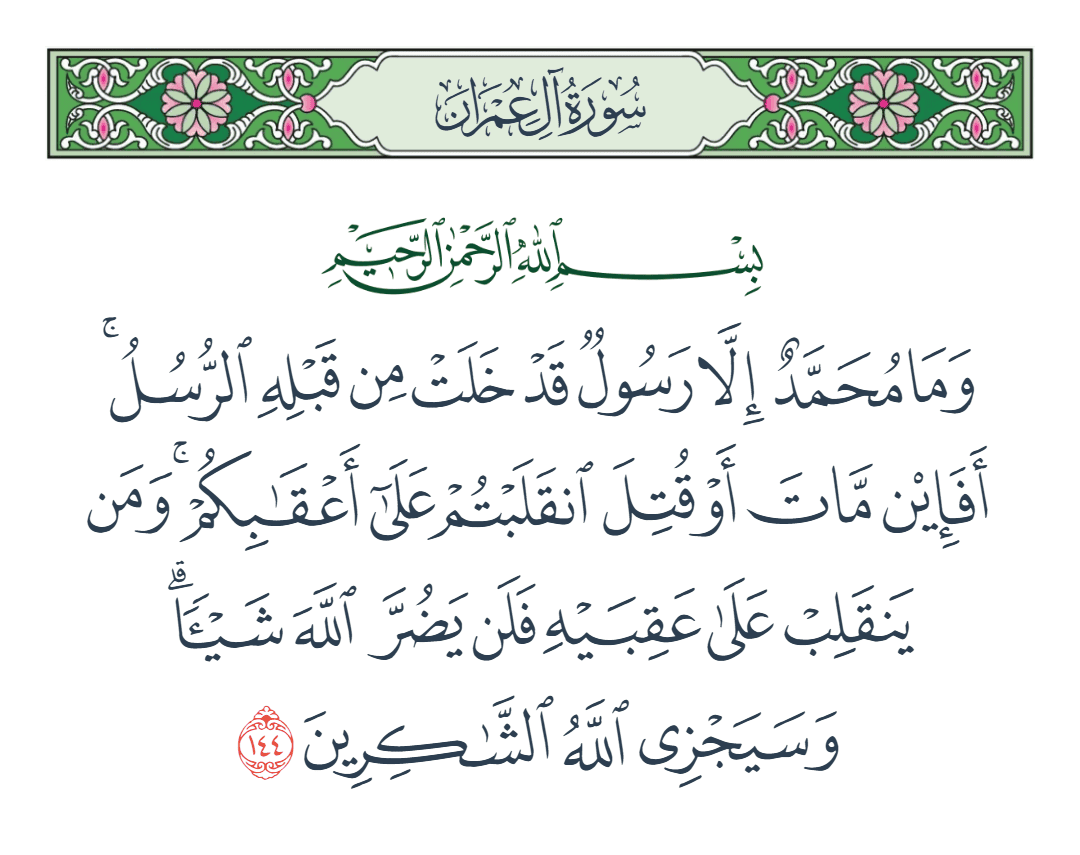  سورة آل عمران الآية رقم 144