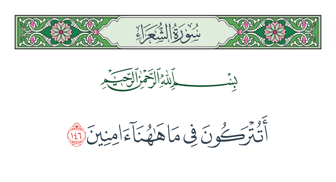  سورة الشعراء الآية رقم 146