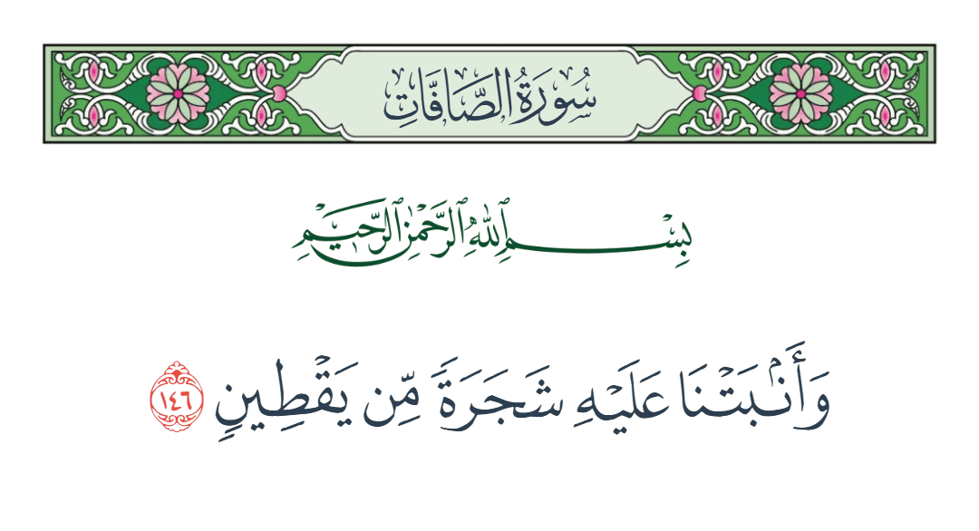  سورة الصافات الآية رقم 146