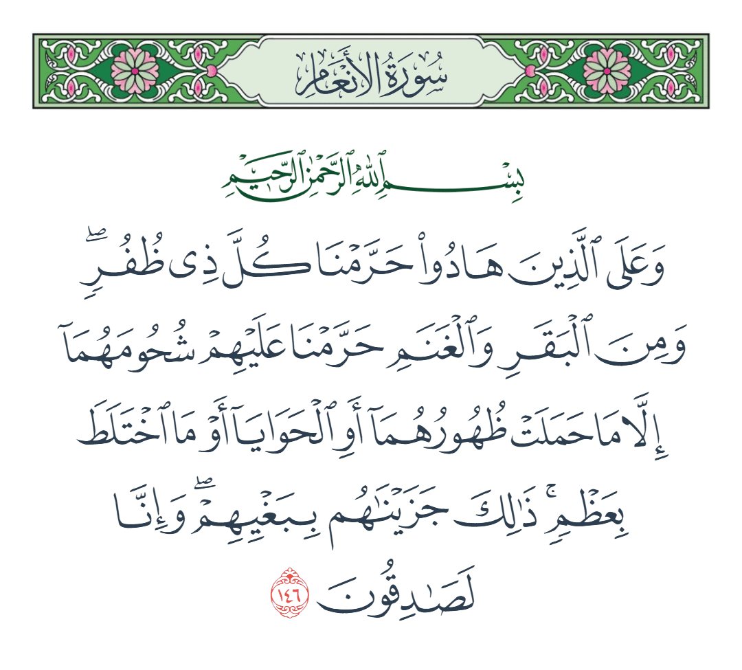  سورة الأنعام الآية رقم 146
