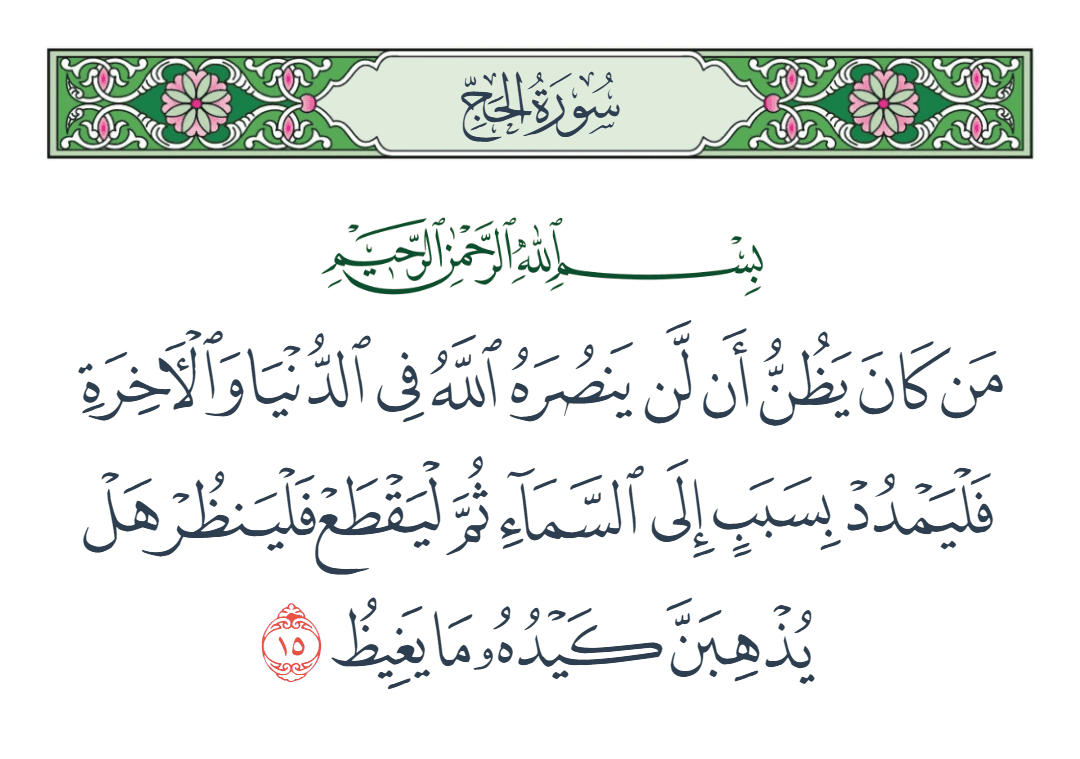  سورة الحج الآية رقم 15