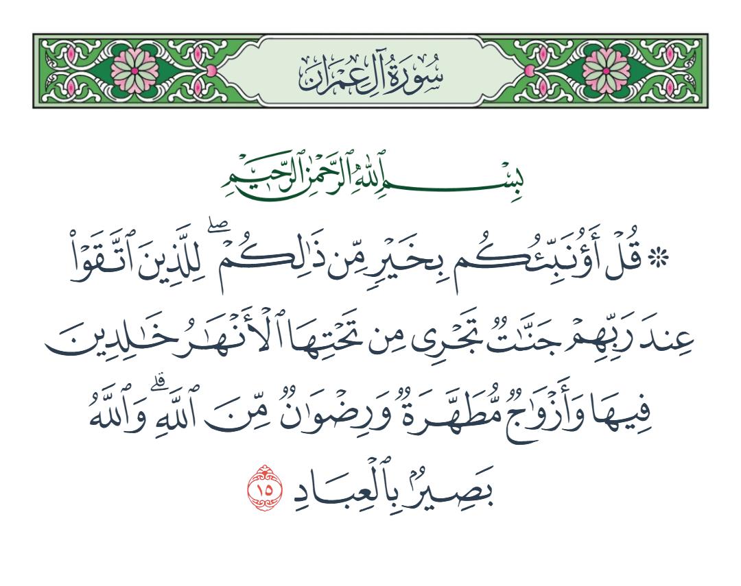  سورة آل عمران الآية رقم 15