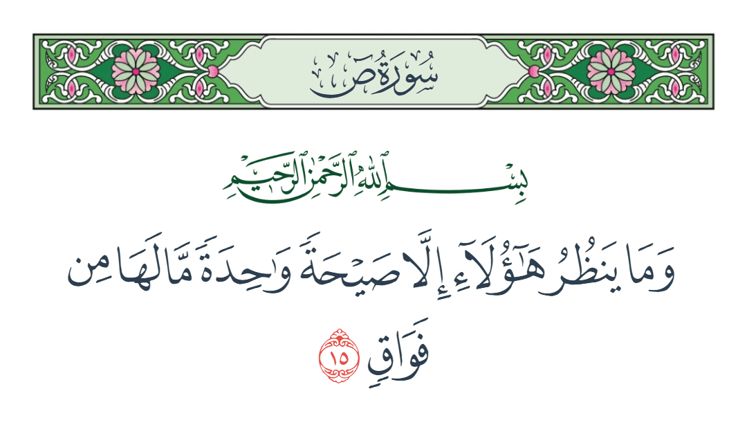  سورة ص الآية رقم 15