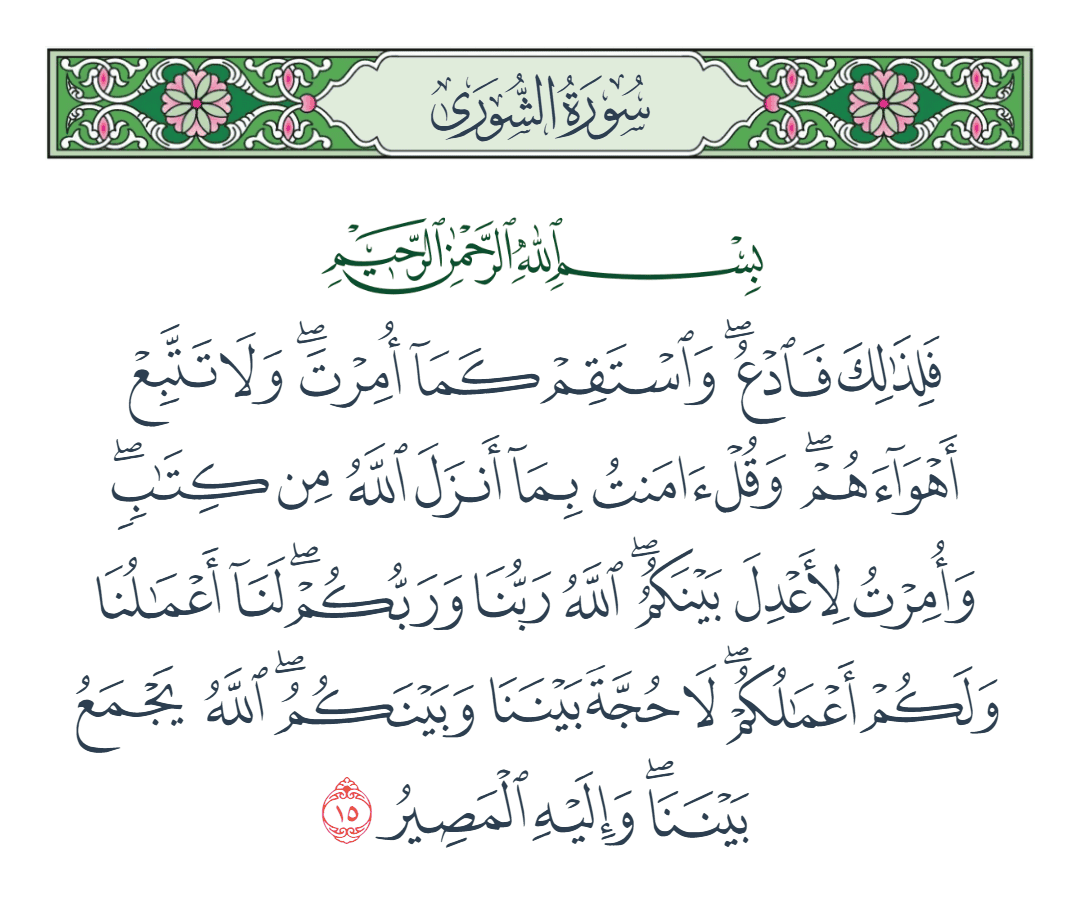  سورة الشورى الآية رقم 15
