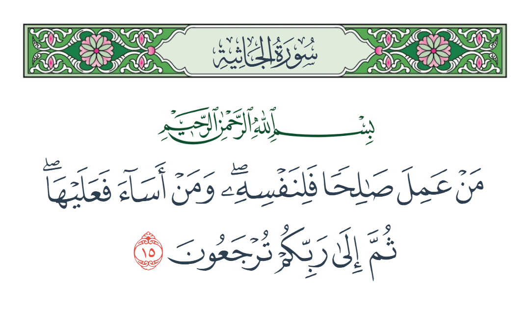  سورة الجاثية الآية رقم 15