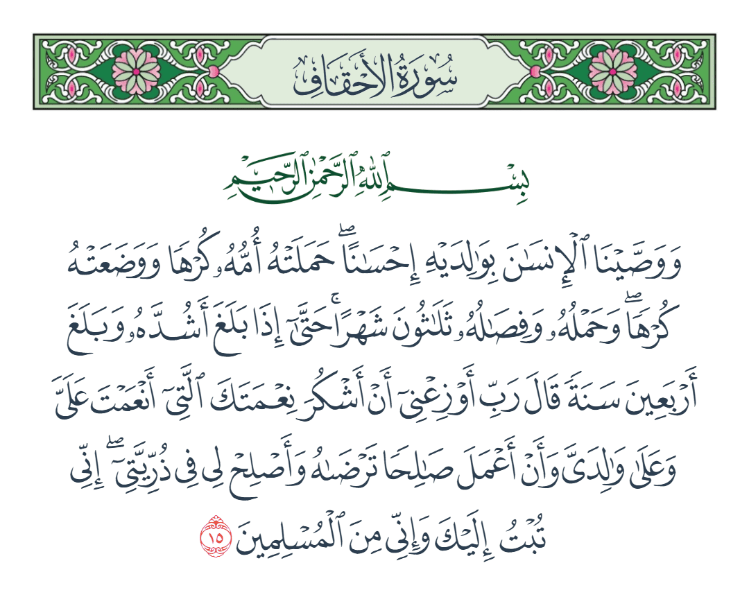  سورة الأحقاف الآية رقم 15