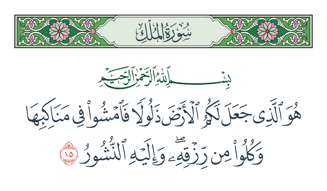  سورة الملك الآية رقم 15