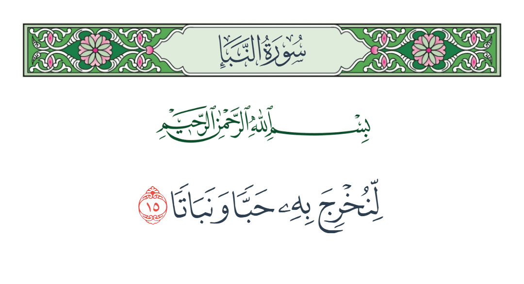  سورة النبأ الآية رقم 15