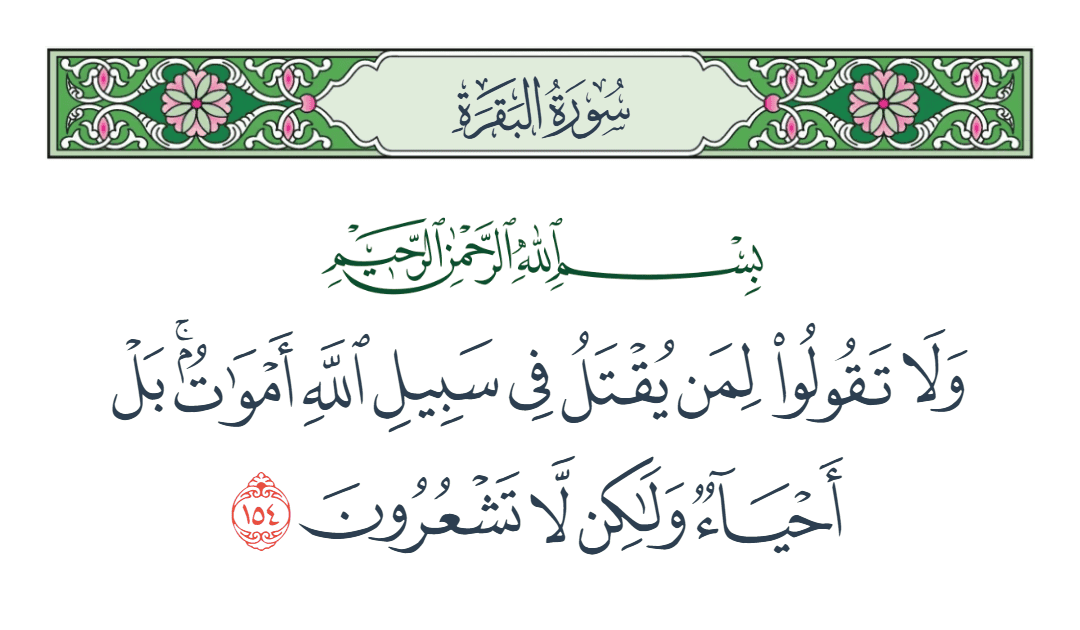  سورة البقرة الآية رقم 154