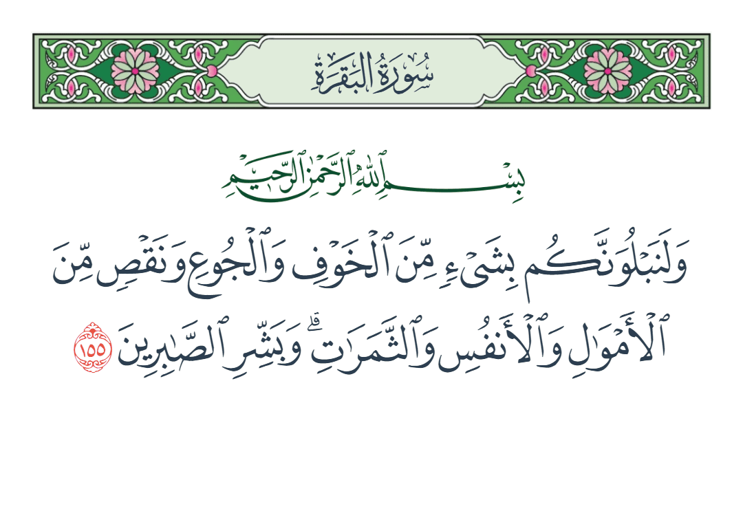  سورة البقرة الآية رقم 155