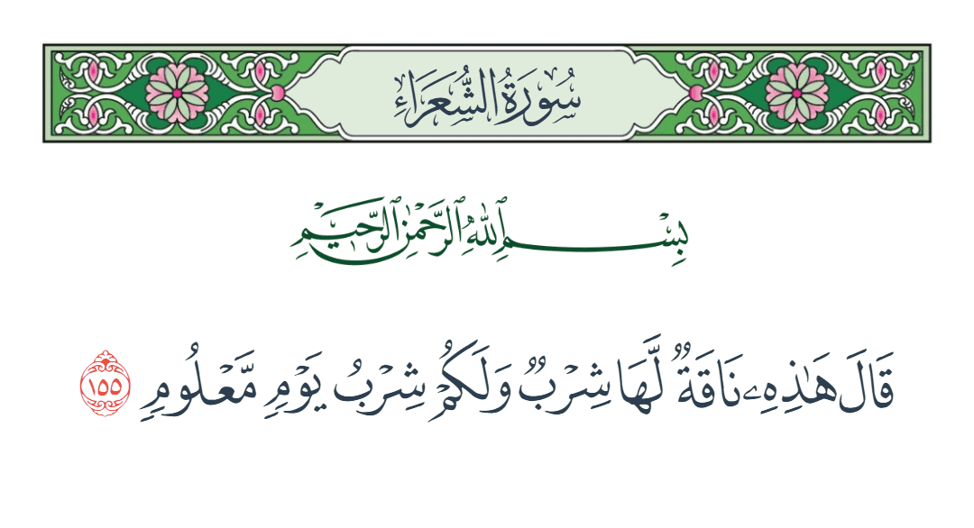  سورة الشعراء الآية رقم 155