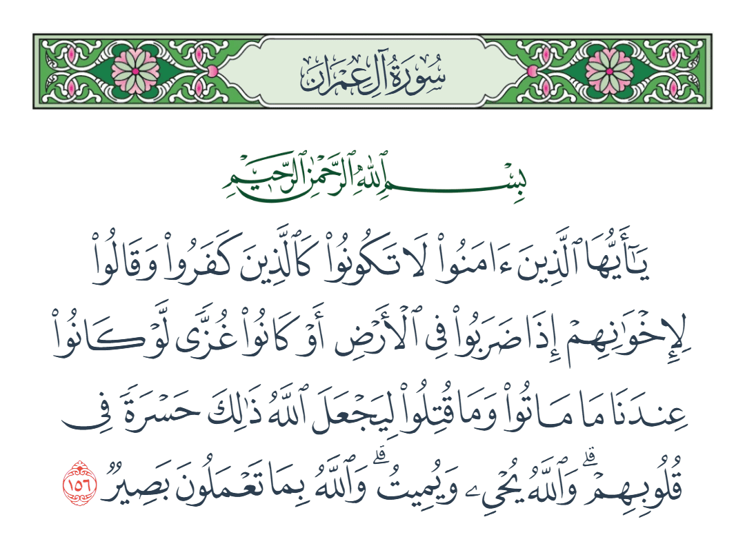  سورة آل عمران الآية رقم 156