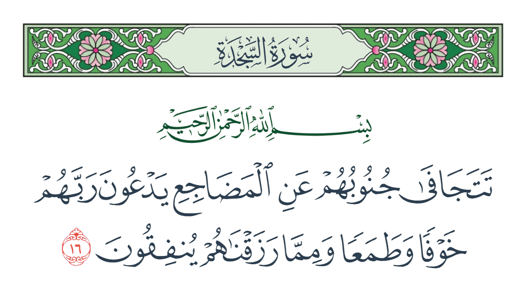  سورة السجدة الآية رقم 16