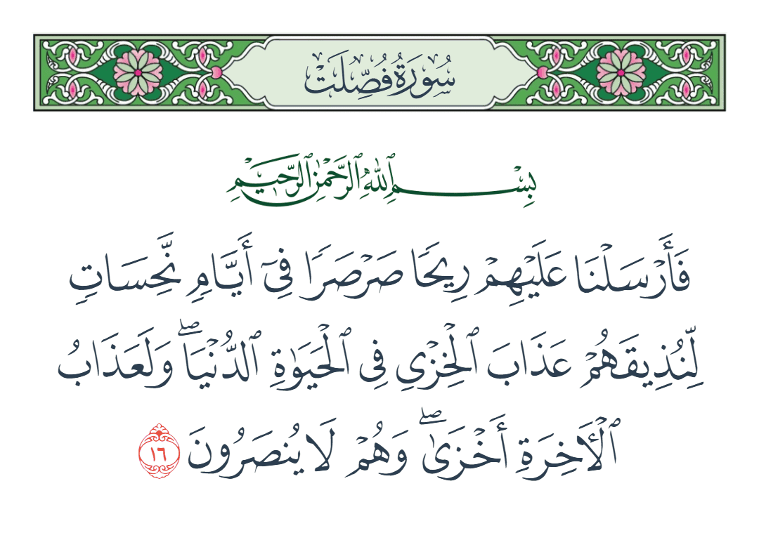  سورة فصلت الآية رقم 16