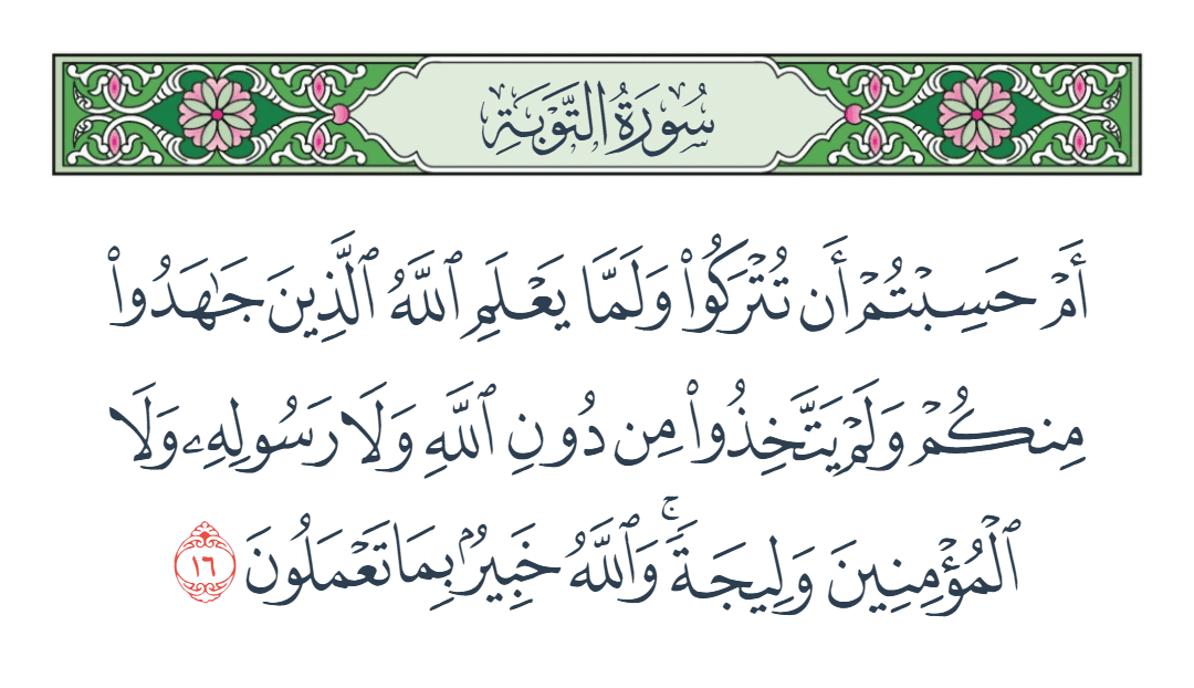  سورة التوبة الآية رقم 16
