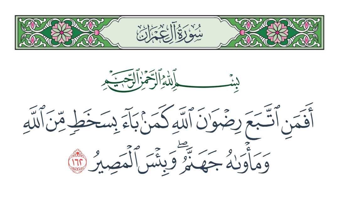  سورة آل عمران الآية رقم 162