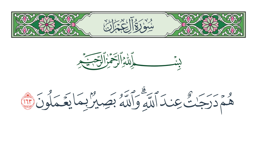  سورة آل عمران الآية رقم 163