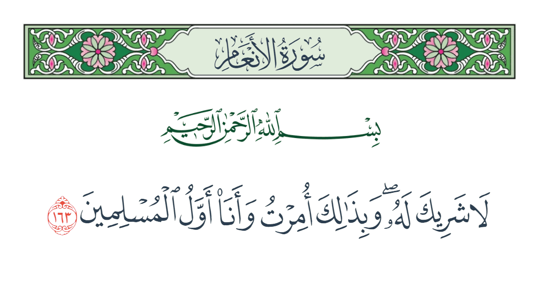  سورة الأنعام الآية رقم 163