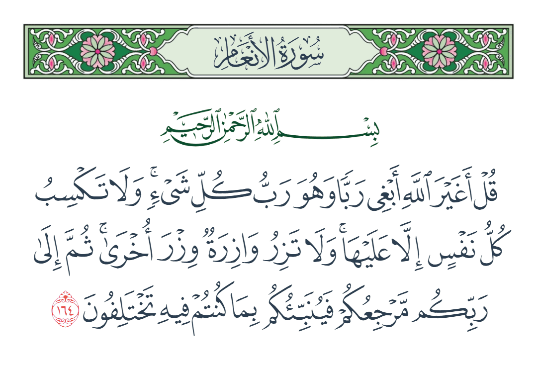  سورة الأنعام الآية رقم 164