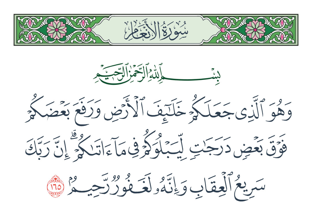  سورة الأنعام الآية رقم 165