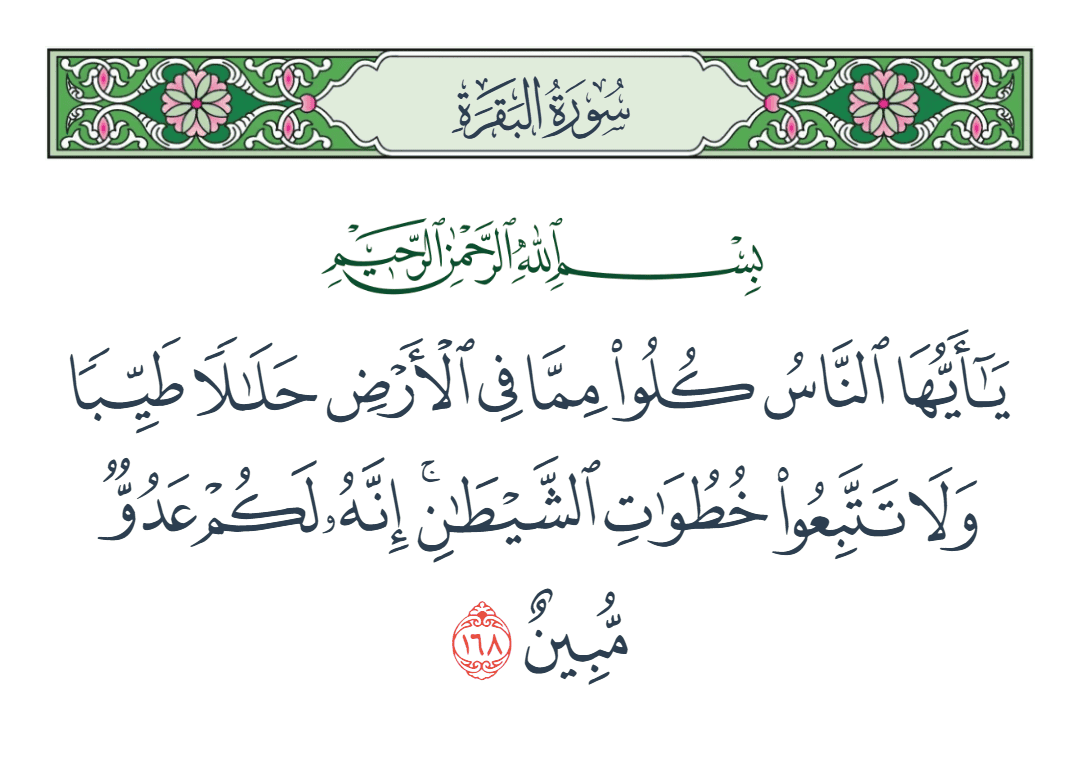  سورة البقرة الآية رقم 168