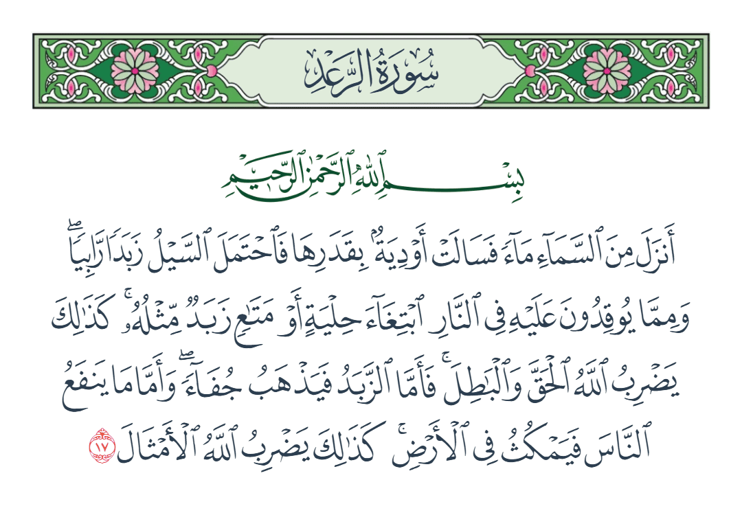  سورة الرعد الآية رقم 17