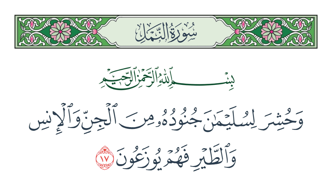  سورة النمل الآية رقم 17