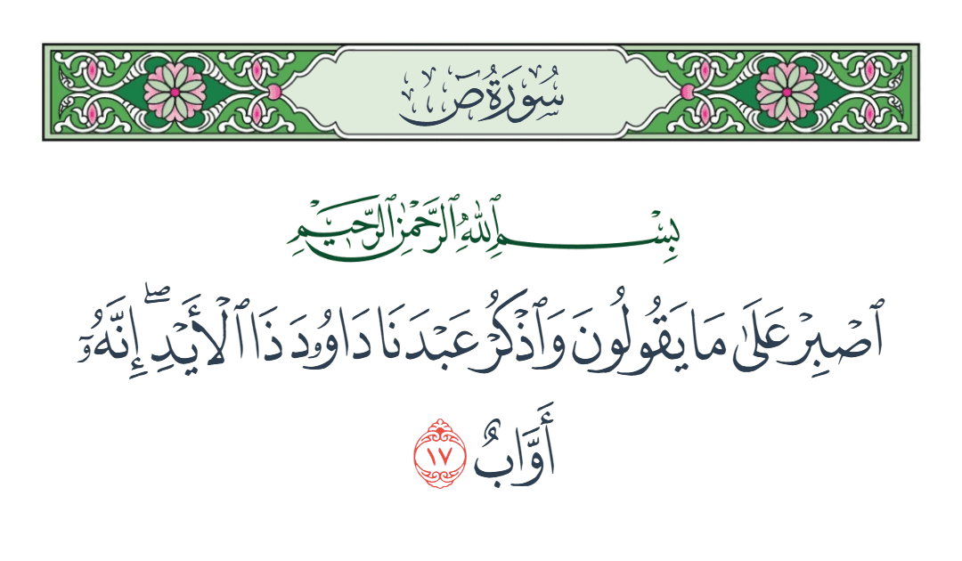  سورة ص الآية رقم 17