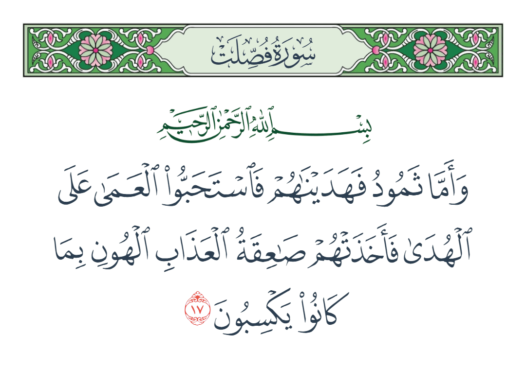  سورة فصلت الآية رقم 17
