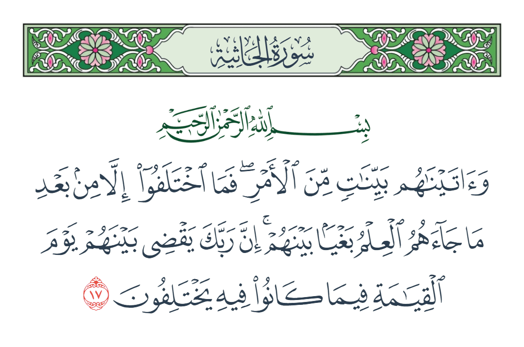  سورة الجاثية الآية رقم 17