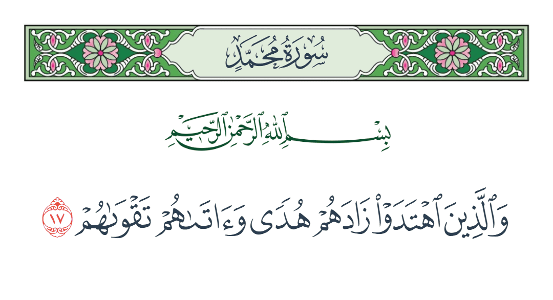  سورة محمد الآية رقم 17