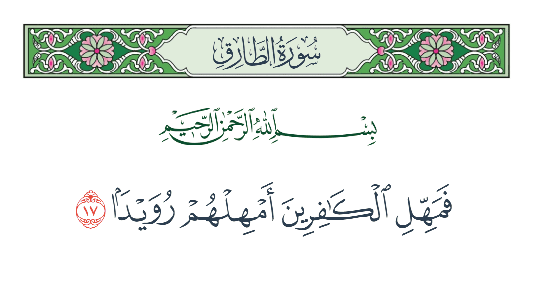  سورة الطارق الآية رقم 17