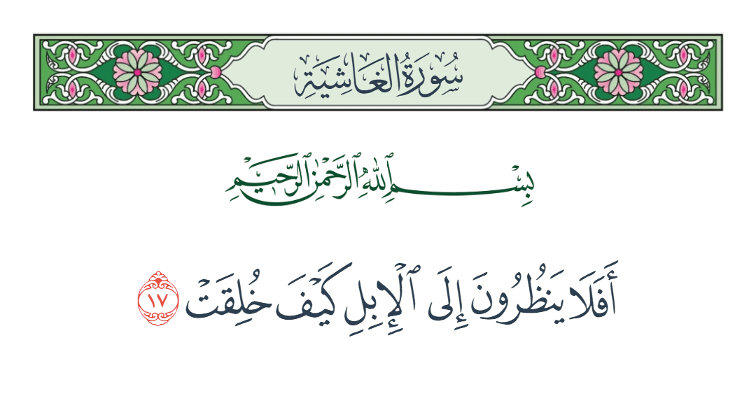  سورة الغاشية الآية رقم 17