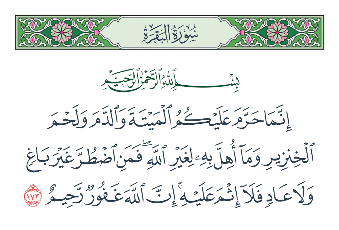  سورة البقرة الآية رقم 173