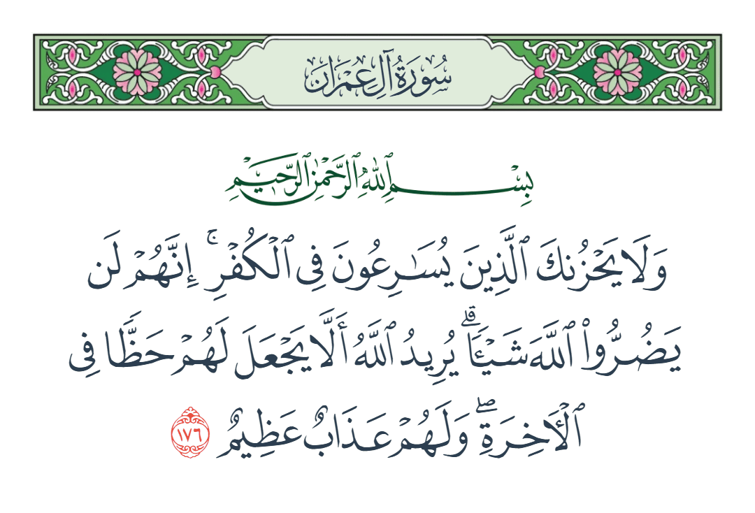  سورة آل عمران الآية رقم 176