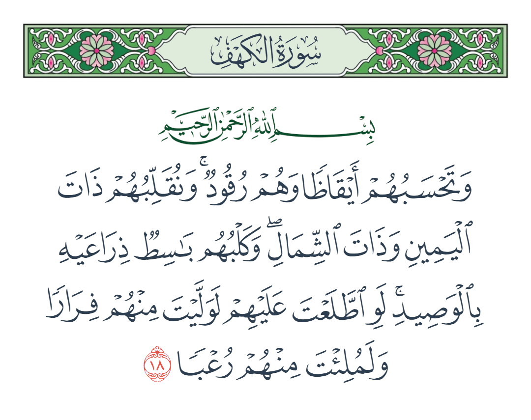  سورة الكهف الآية رقم 18