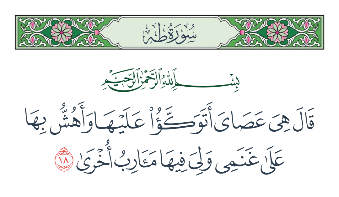  سورة طه الآية رقم 18