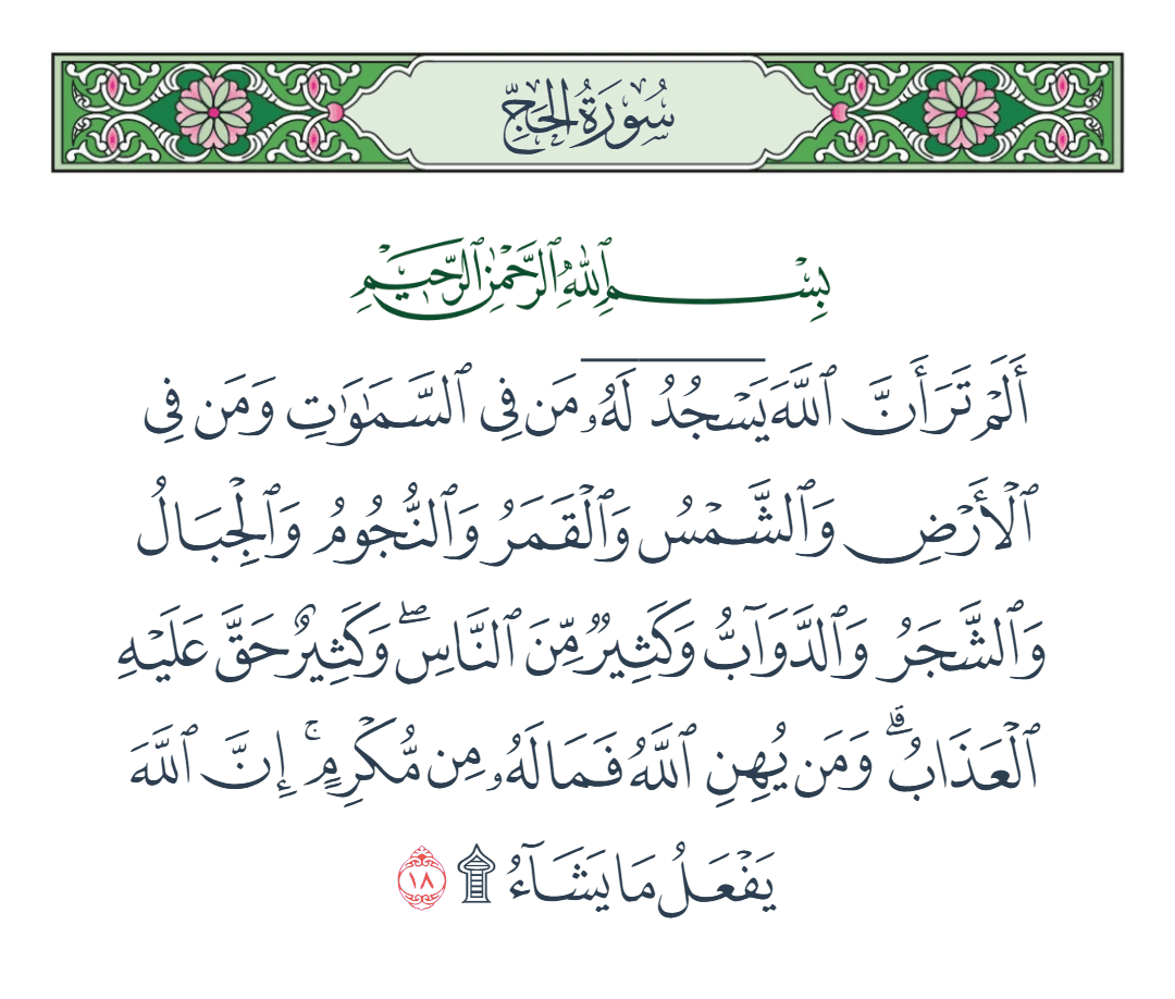  سورة الحج الآية رقم 18