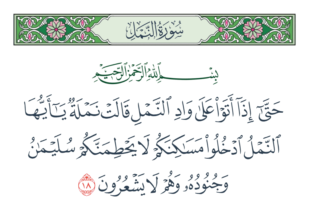 سورة النمل الآية رقم 18