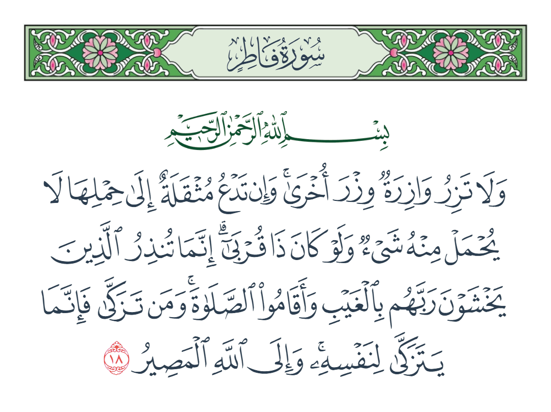  سورة فاطر الآية رقم 18
