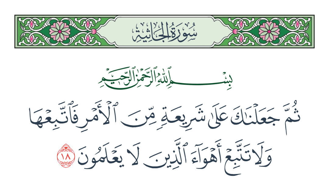  سورة الجاثية الآية رقم 18