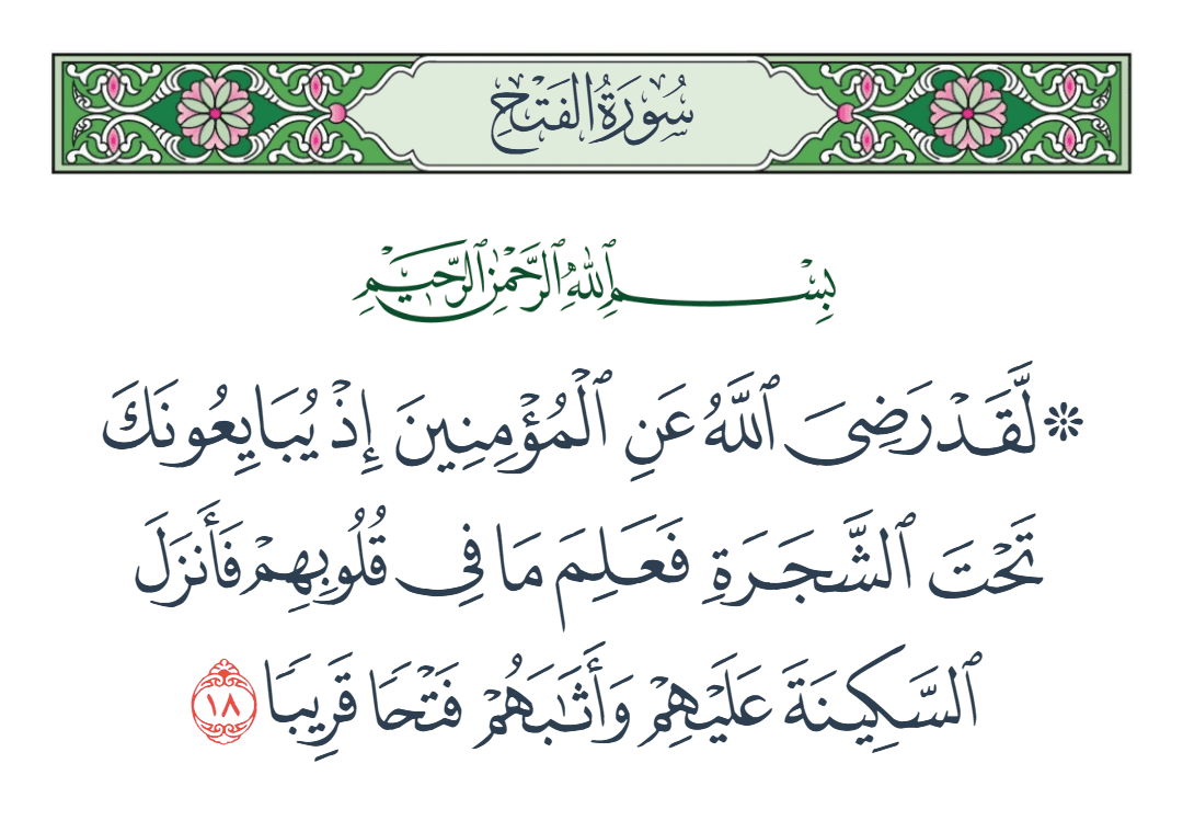  سورة الفتح الآية رقم 18
