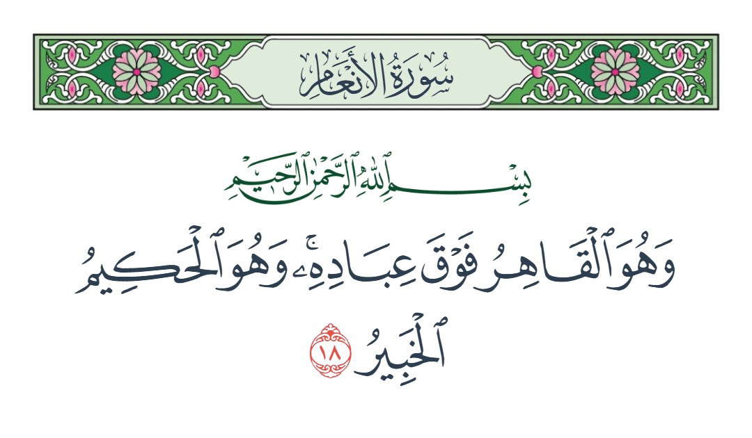  سورة الأنعام الآية رقم 18