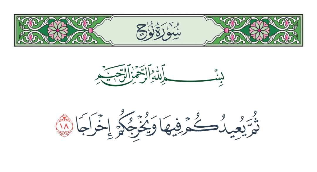  سورة نوح الآية رقم 18